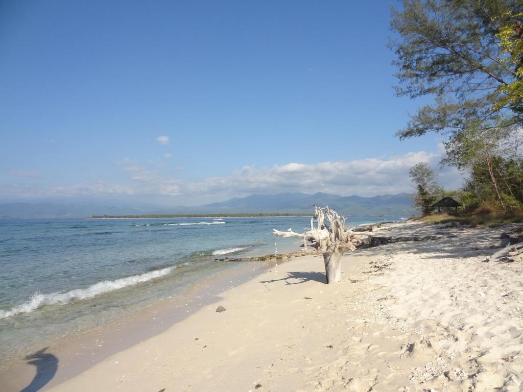 Kalinka Inn ギリ島 エクステリア 写真